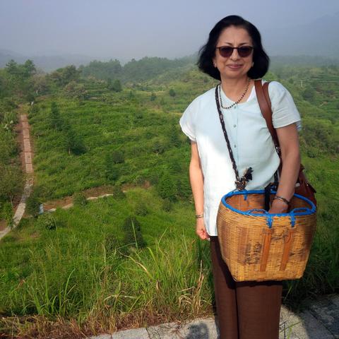 Silver Tips Tea founder standing in front of a tea plantation.